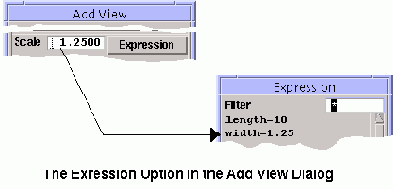  Expression - 